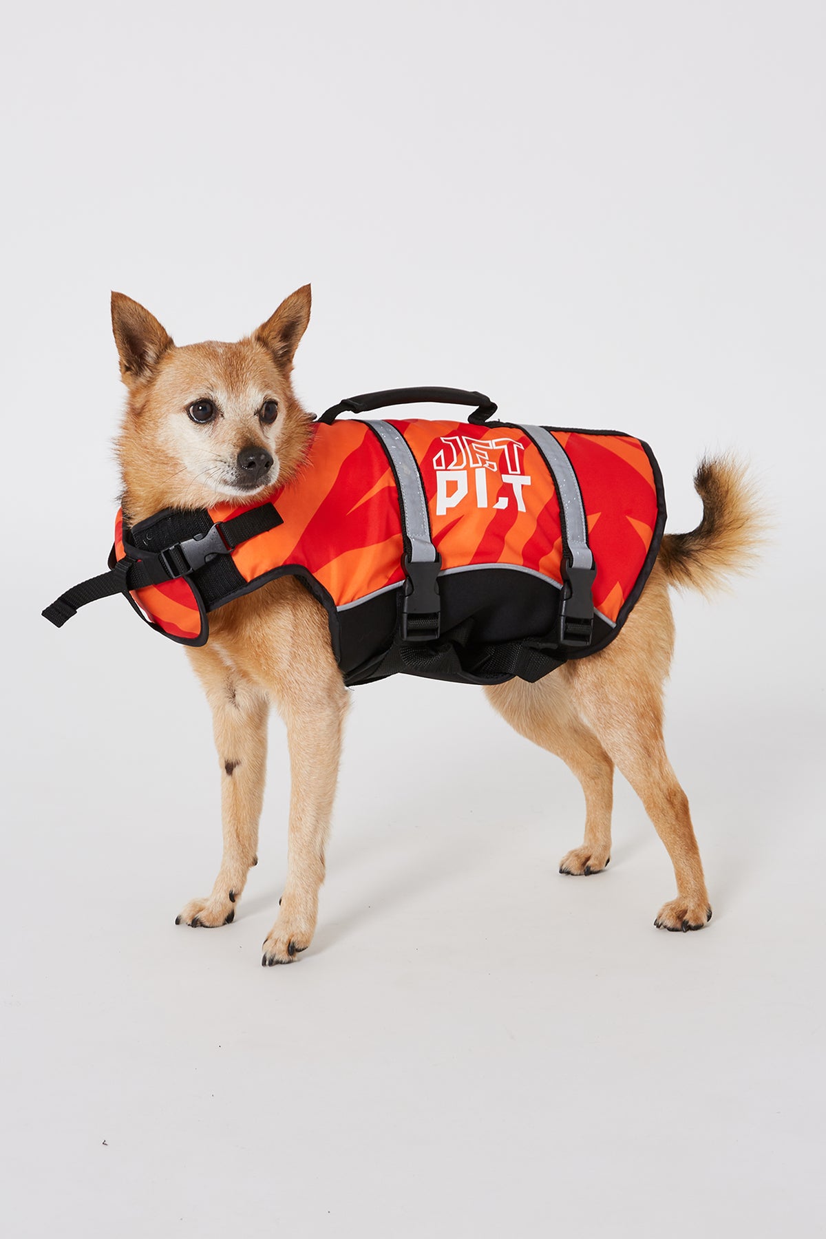 Red Pfd Jetpilot Dog PFD - Red – Jetpilot Thailand