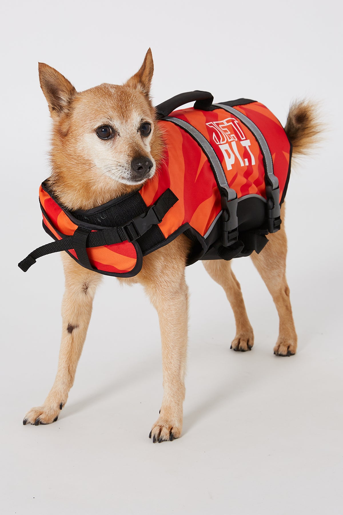 Jetpilot Dog PFD - Red – Jetpilot Thailand